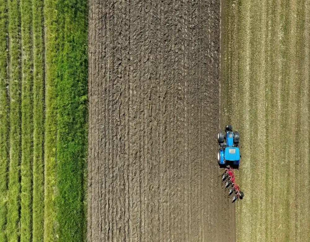 Agricultura